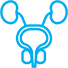 Prostate Icon